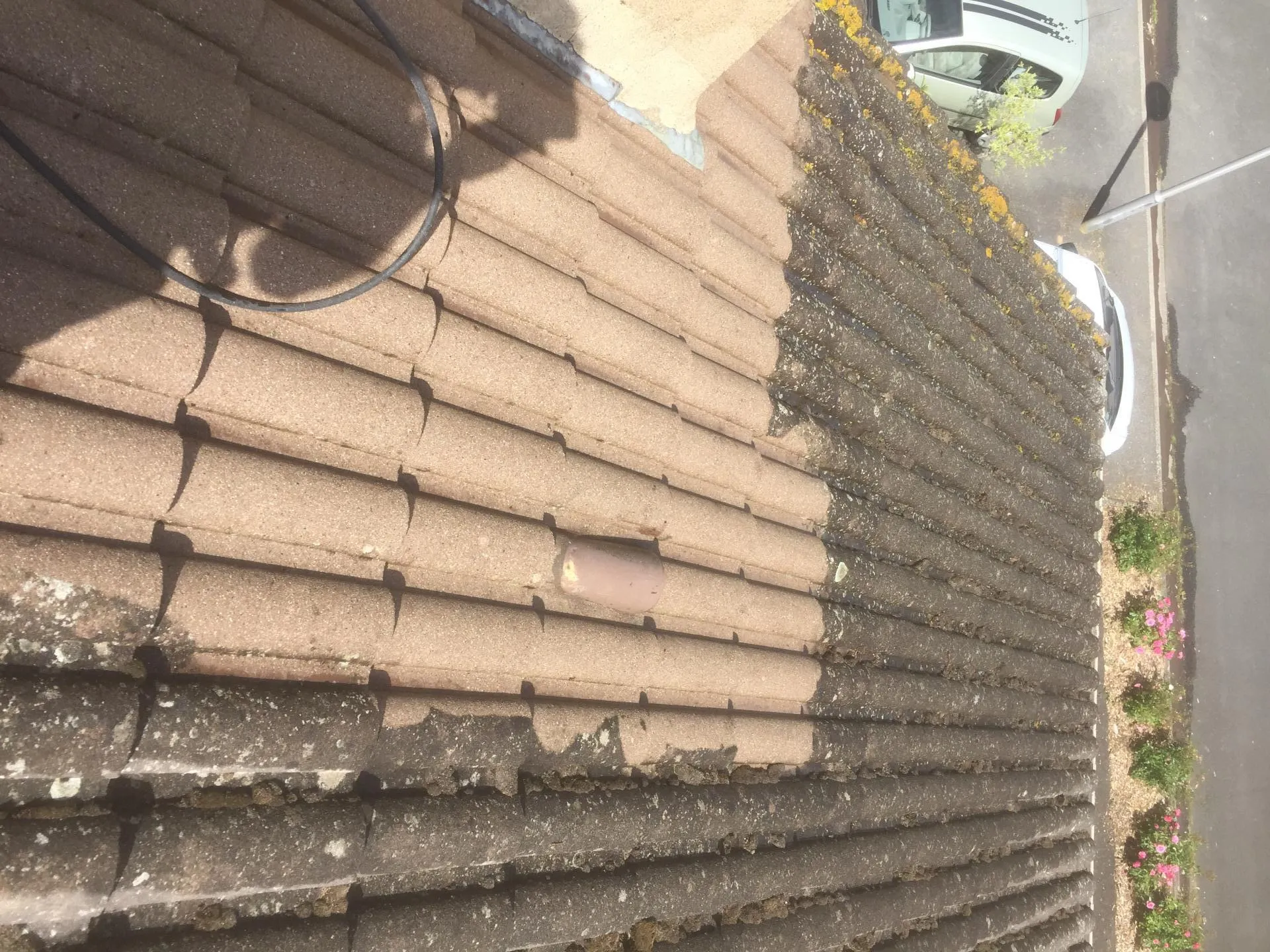 Toiture en tuiles envahie par la mousse